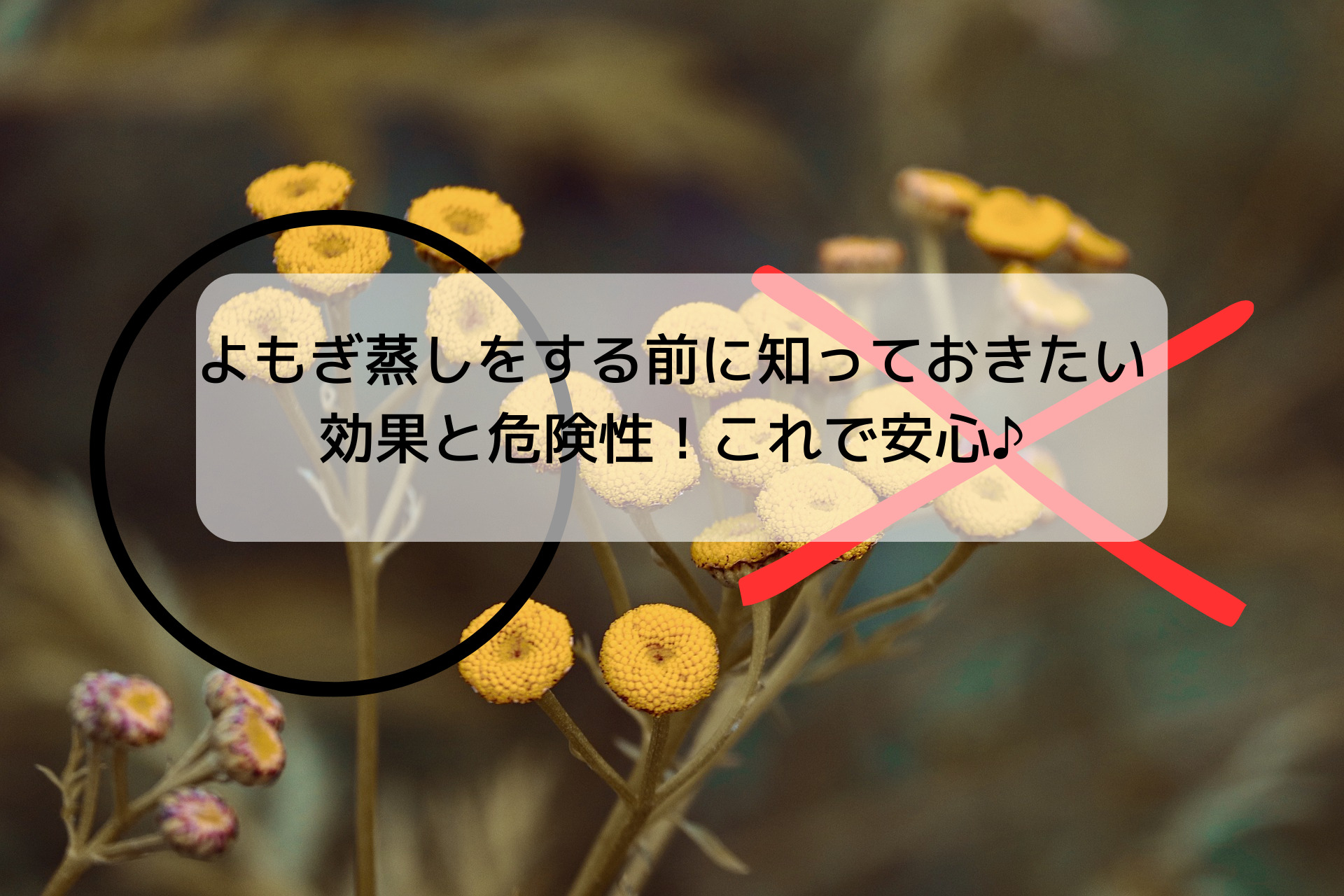 よもぎ蒸しをする前に知っておきたい 効果と危険性！これで安心♪